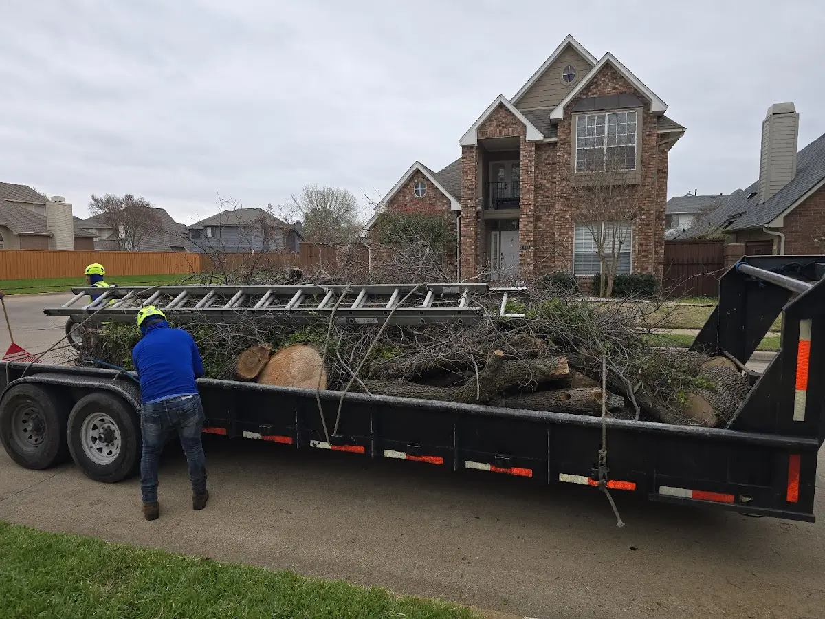Expert Lot Clearing with proper safety equipment in Valencia